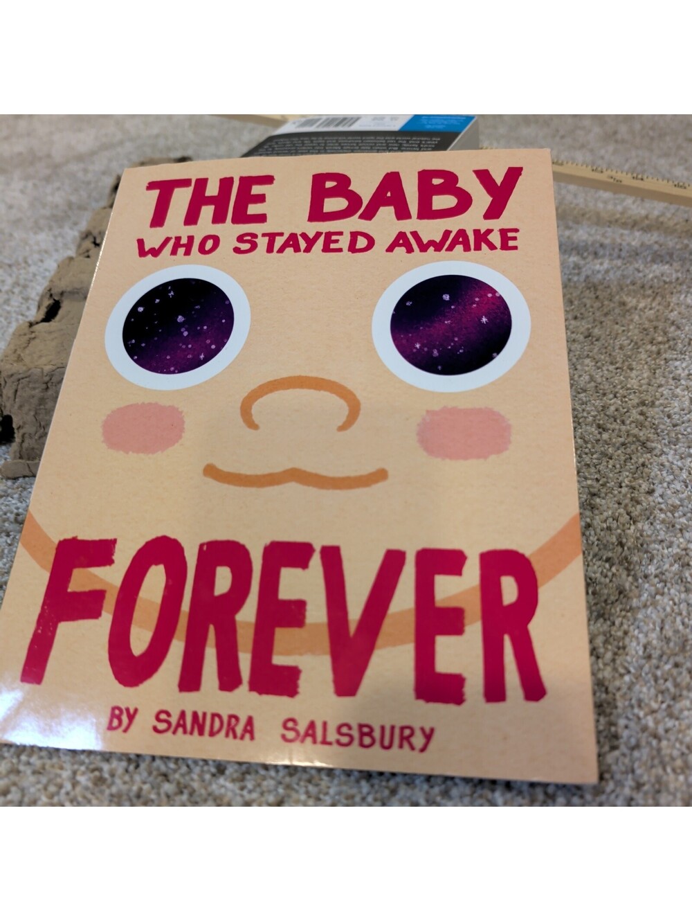 The Baby Who Stayed Awake Forever by Sandra Salsbury - Children's Picture Book